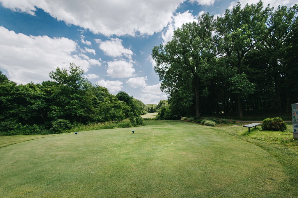 View of fairway from tee box including tall trees and blue skies in the distance